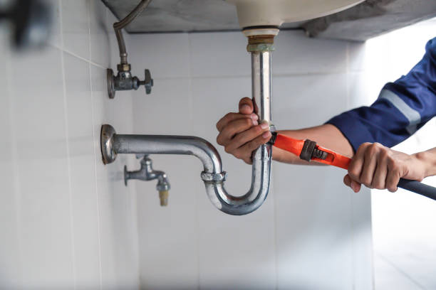 Best Clogged Drain Plumber  in Oak Trail Shores, TX